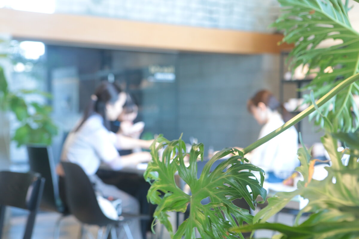 ワークショップ用のロングテーブル